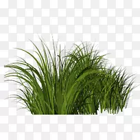 ������pngͼƬͼ����Ʋݱ�ֲ��.���߲�-������