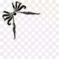png图片swf图像图形adobe flash cerve装饰物-空若网 png图片swf图像图形adobe flash cerve装饰物-空若网