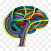 脑神经学png图片学.脑-空若网 脑神经学png图片学.脑-空若网