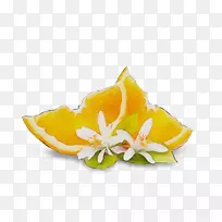 �л�����ֲ��-������