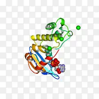 插图剪贴画有机体线身首饰.ATP丝带-空若网 插图剪贴画有机体线身首饰.ATP丝带-空若网