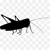 蝴蝶昆虫传粉者剪贴画动物-空若网 蝴蝶昆虫传粉者剪贴画动物-空若网