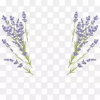 ͼÐΰæË°-Ãâ·ÑÞ¹Ò²ݲåͼ»éÀñÑûÇ뺯-°¢¶û·¨ÔóÂí×°ÊÎ-¿ÕÈôÍø ͼÐΰæË°-Ãâ·ÑÞ¹Ò²ݲåͼ»éÀñÑûÇ뺯-°¢¶û·¨ÔóÂí×°ÊÎ-¿ÕÈôÍø