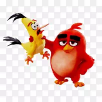 公鸡卡通喙橙色S.A.-空若网 公鸡卡通喙橙色S.A.-空若网
