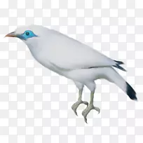 ������ë����-������