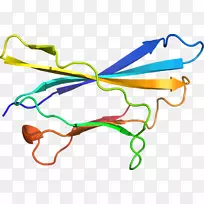 ��Ʒ����ߵ������.arf����-������