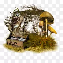 博客日记图片万圣节LiveInternet-自动传单-空若网 博客日记图片万圣节LiveInternet-自动传单-空若网