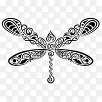 图绘制蜻蜓昆虫插图-空若网 图绘制蜻蜓昆虫插图-空若网