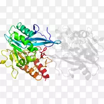 插画剪贴画有机体线-爱法卡通-空若网 插画剪贴画有机体线-爱法卡通-空若网