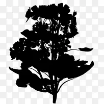 开花植物剪影字体叶-空若网 开花植物剪影字体叶-空若网