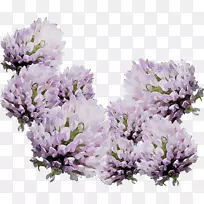 Ӣ��޹�²��ǹ�ľ-������