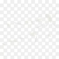 昆虫白色桌面壁纸天空羽毛-空若网 昆虫白色桌面壁纸天空羽毛-空若网