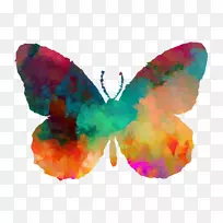 m。蝴蝶对称橙色S.A.飞蛾-空若网 m。蝴蝶对称橙色S.A.飞蛾-空若网