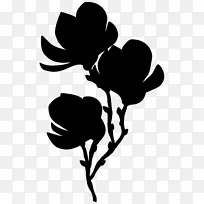 剪贴画剪影叶开花植物分枝-空若网 剪贴画剪影叶开花植物分枝-空若网