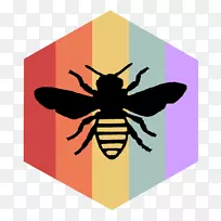 蜜蜂图形剪辑艺术图像-蜜蜂-空若网 蜜蜂图形剪辑艺术图像-蜜蜂-空若网