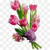 �����������л��ۺ�ɫ-������