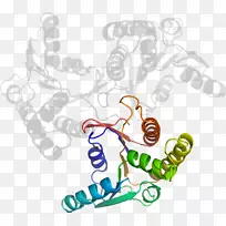 剪贴画有机体线身首饰-空若网 剪贴画有机体线身首饰-空若网