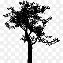 剪贴画png图片图像绘图插图-空若网 剪贴画png图片图像绘图插图-空若网