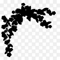 字形线叶图案开花植物-空若网 字形线叶图案开花植物-空若网