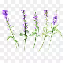 pngͼƬ¼ô¼ÒÕÊõͼƬӢÎÄÞ¹Ò²Ý-¿ÕÈôÍø pngͼƬ¼ô¼ÒÕÊõͼƬӢÎÄÞ¹Ò²Ý-¿ÕÈôÍø