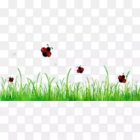 草桌面壁纸商品电脑天空-空若网 草桌面壁纸商品电脑天空-空若网