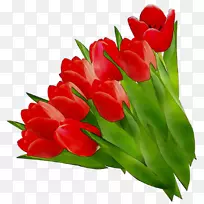 郁金香切花百合花束-空若网 郁金香切花百合花束-空若网