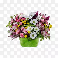 ������ƣ��л������������컨-������