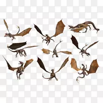 插图剪贴画动物喙蜻蜓图形-空若网 插图剪贴画动物喙蜻蜓图形-空若网