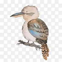 澳洲考拉袋熊鸭嘴兽动物图-空若网 澳洲考拉袋熊鸭嘴兽动物图-空若网