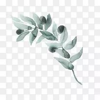 水彩画花环-空若网 水彩画花环-空若网