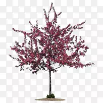 ��Ӱ������-�һ�-������