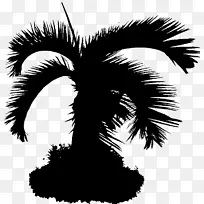 棕榈树剪影字体-空若网 棕榈树剪影字体-空若网