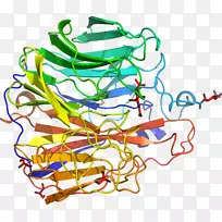 剪贴画线点产品有机体-b7背景-空若网 剪贴画线点产品有机体-b7背景-空若网