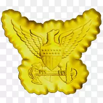 鹰-空若网 鹰-空若网