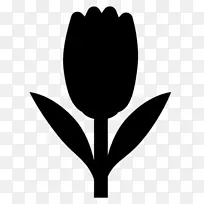 ��ֽ����ֲ�ﾥ��������ֲ��-������