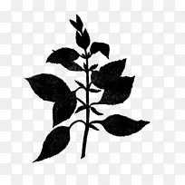叶植物茎字体剪影开花植物-空若网 叶植物茎字体剪影开花植物-空若网