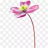 水彩画-水彩画心-空若网 水彩画-水彩画心-空若网