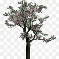 ӣ��������pngͼƬͼ��-������