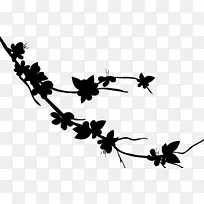 ���滨��ֲ�ﾥҶ������-������