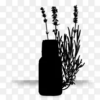 英国薰衣草油精油草药蒸馏法国薰衣草-空若网 英国薰衣草油精油草药蒸馏法国薰衣草-空若网