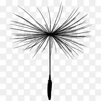 棕榈树线对称分枝-空若网 棕榈树线对称分枝-空若网