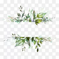 Ë®²Ê»£º»¨»ÜË®²Ê»Í¼Ðβåͼ»æ»-¿ÕÈôÍø Ë®²Ê»£º»¨»ÜË®²Ê»Í¼Ðβåͼ»æ»-¿ÕÈôÍø