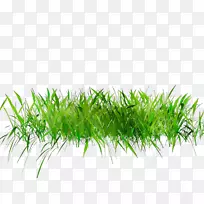 png图片,adobe,Photoshop,博客,花卉图-空若网 png图片,adobe,Photoshop,博客,花卉图-空若网