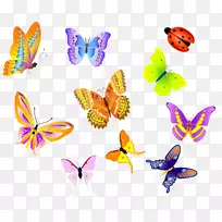 �������������ͼ��.����-������