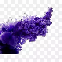 薰衣草-空若网 薰衣草-空若网