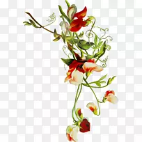 花卉设计切花花束-空若网 花卉设计切花花束-空若网