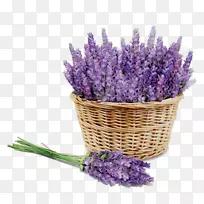 英国薰衣草芳香香精-弥撒吉奥精油蒸馏-空若网 英国薰衣草芳香香精-弥撒吉奥精油蒸馏-空若网