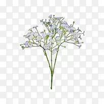 普通婴儿的-呼吸花束剪开的花朵绿色-空若网 普通婴儿的-呼吸花束剪开的花朵绿色-空若网