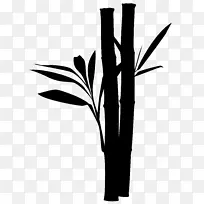 奥弗涅开花植物茎植物-空若网 奥弗涅开花植物茎植物-空若网