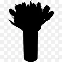 ����ֲ���������ָ����-������